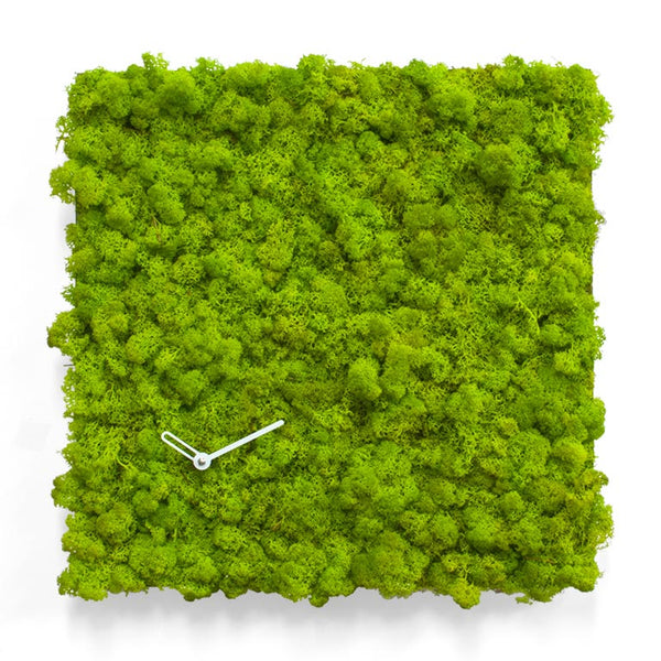 MOSSwall® Clock Square' (Green) Clock by Progetti - Cuckoo Collections