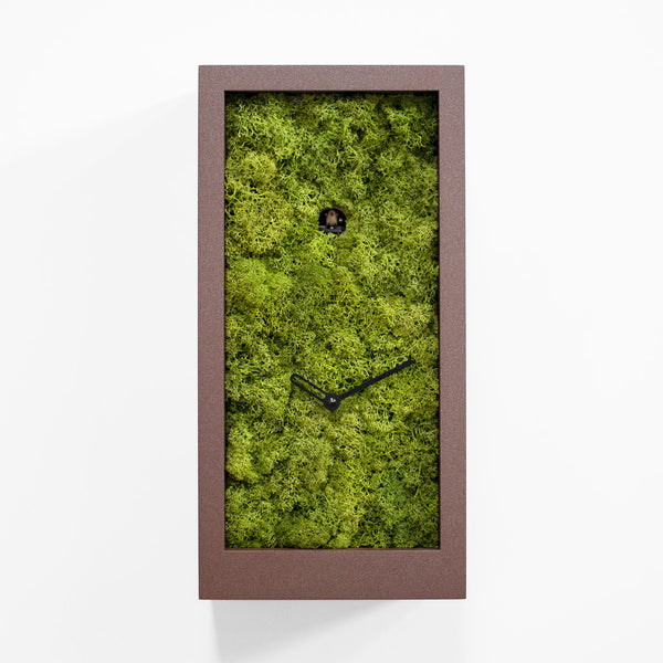  Cuckoo Clock - 'Amazon' Cuckoo Clock (Brown) by Progetti - Cuckoo Collections