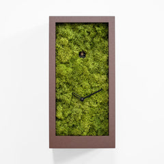  Cuckoo Clock - 'Amazon' Cuckoo Clock (Brown) by Progetti - Cuckoo Collections