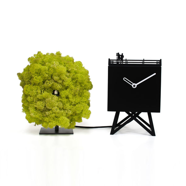  Cuckoo Clock - 'Birdwatching' Cuckoo Clock (Black and moss) by Progetti - Cuckoo Collections