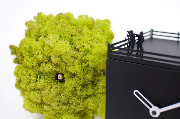  Cuckoo Clock - 'Birdwatching' Cuckoo Clock (Black and moss) by Progetti - Cuckoo Collections