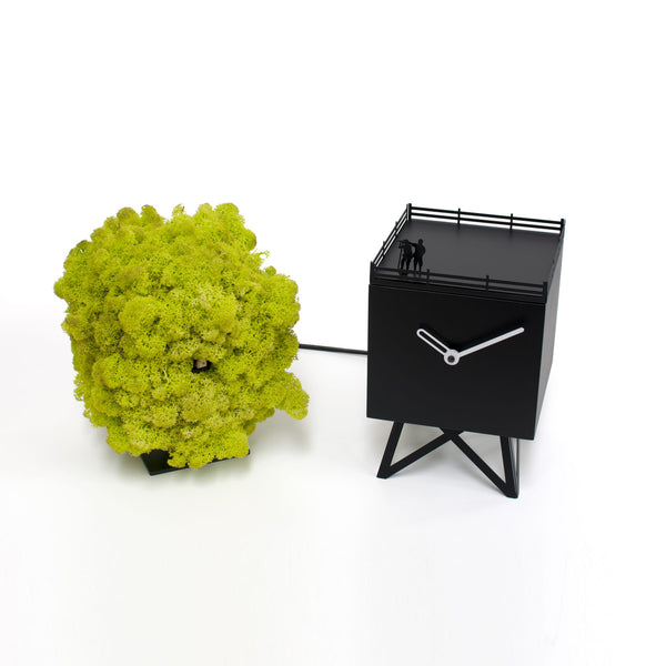  Cuckoo Clock - 'Birdwatching' Cuckoo Clock (Black and moss) by Progetti - Cuckoo Collections