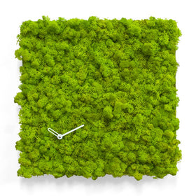  Clock - 'MOSSwall® Clock Square' (Green) Clock by Progetti - Cuckoo Collections