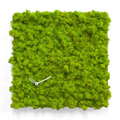  Clock - 'MOSSwall® Clock Square' (Green) Clock by Progetti - Cuckoo Collections