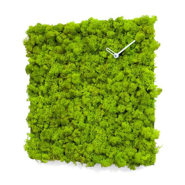  Clock - 'MOSSwall® Clock Square' (Green) Clock by Progetti - Cuckoo Collections