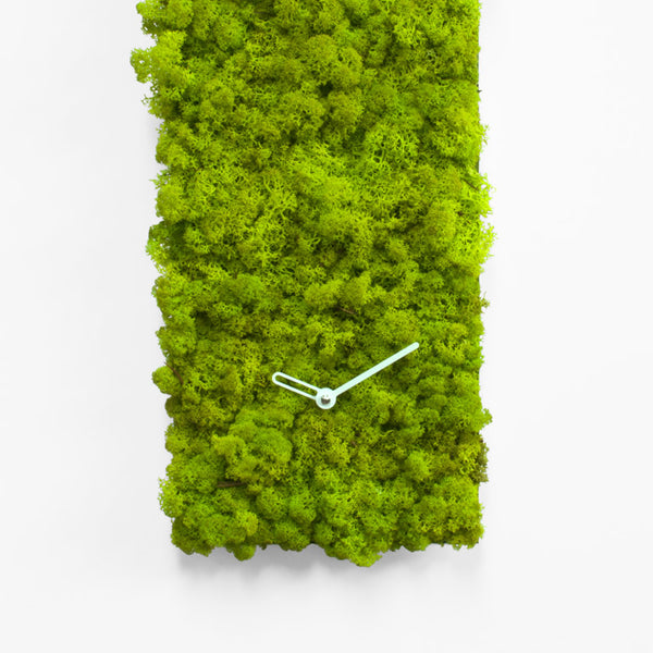  Clock - 'MOSSwall® Clock Rectangle' (Green) Clock by Progetti - Cuckoo Collections