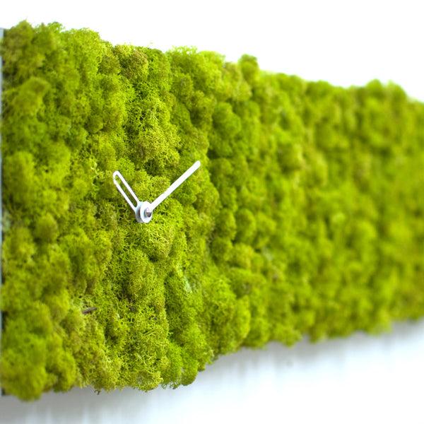  Clock - 'MOSSwall® Clock Rectangle' (Green) Clock by Progetti - Cuckoo Collections