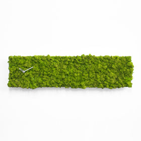  Clock - 'MOSSwall® Clock Rectangle' (Green) Clock by Progetti - Cuckoo Collections