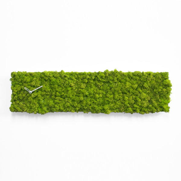  Clock - 'MOSSwall® Clock Rectangle' (Green) Clock by Progetti - Cuckoo Collections