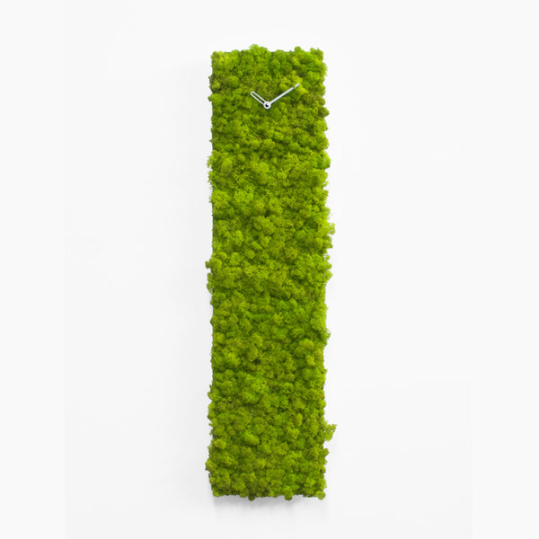  Clock - 'MOSSwall® Clock Rectangle' (Green) Clock by Progetti - Cuckoo Collections